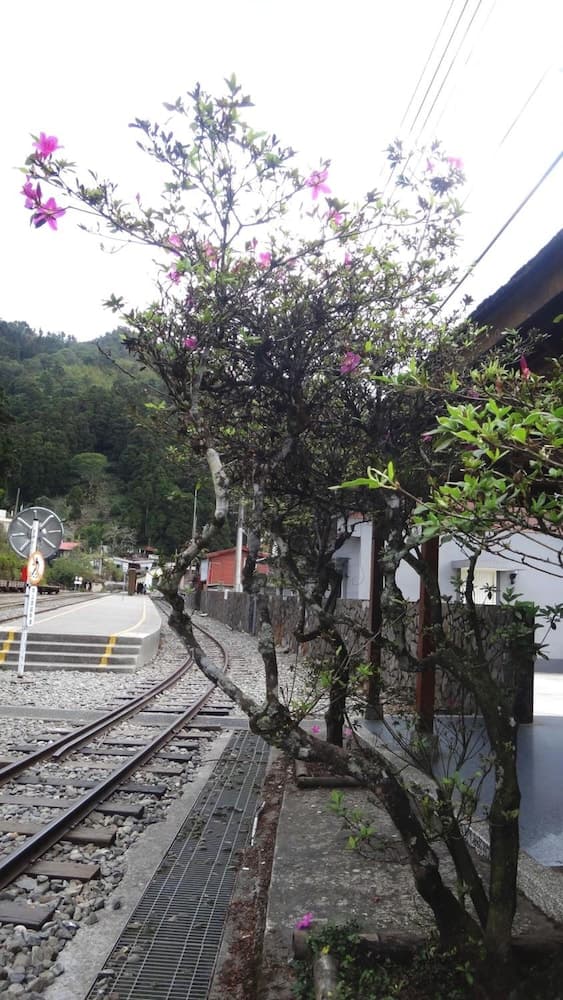 Fenchihu Hotel
