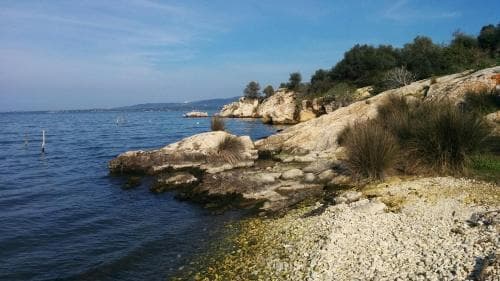 B & B Tancredi