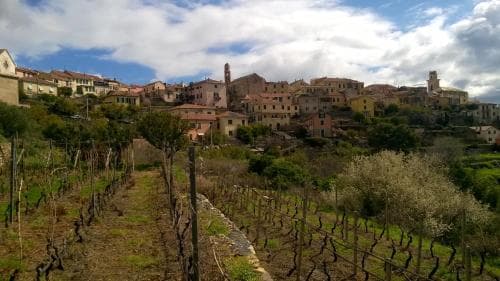 B&B Ca' de Pippu