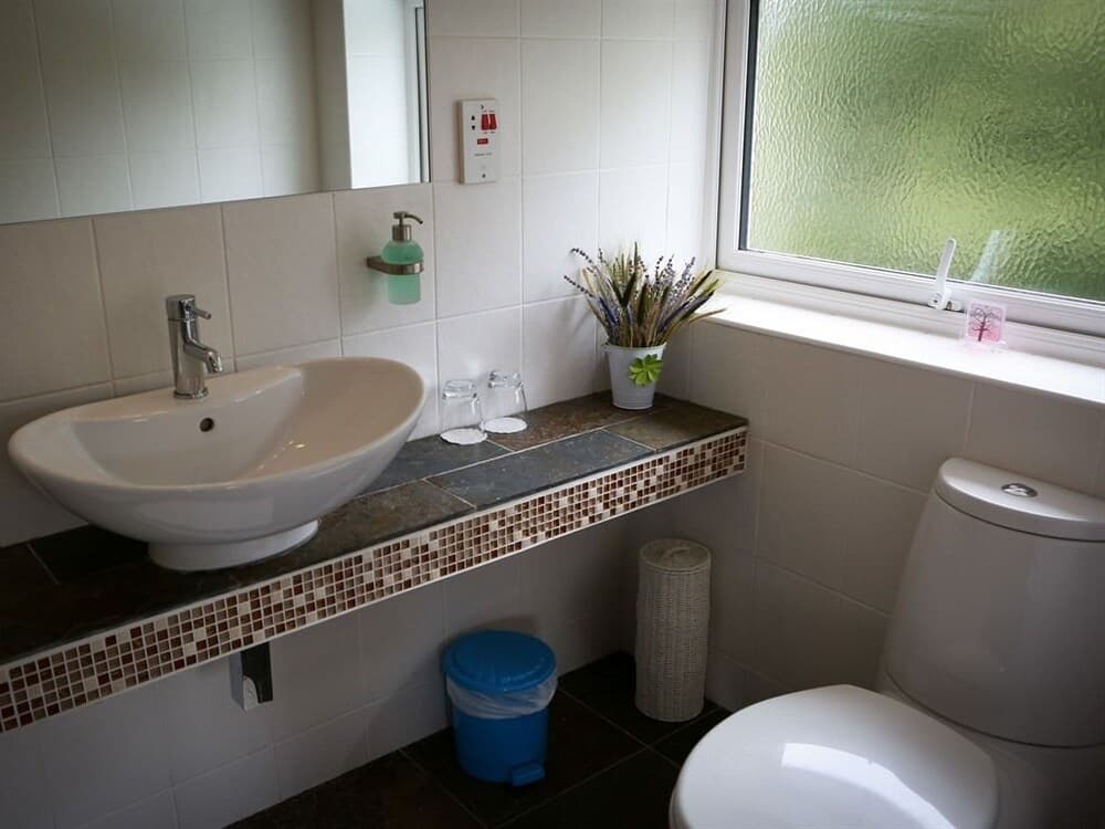 Glan Llyn Farm House