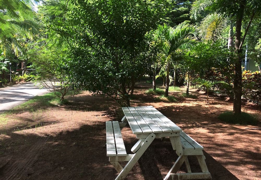 Miko Resort