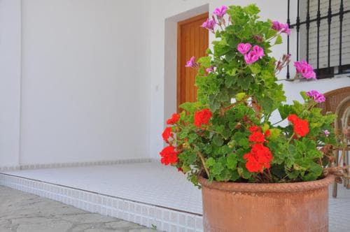 El Levante Hostal