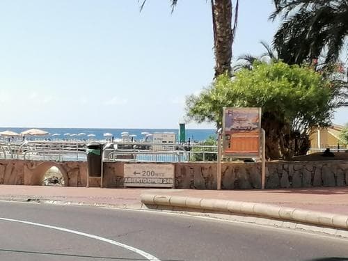 Palmsol