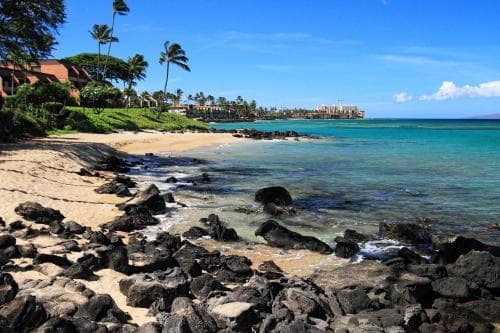 Polynesian Shores