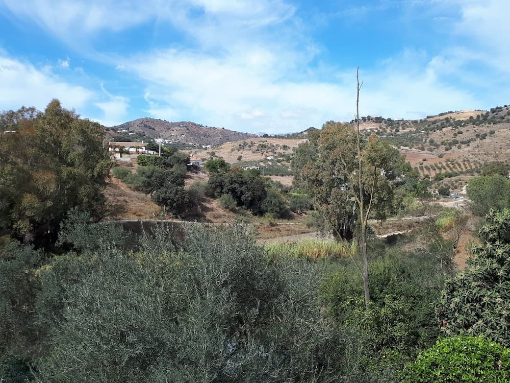 A serene rural landscape features lush greenery, scattered trees, and distant hills under a bright blue sky, ideal for tranquil hiking and nature photography.