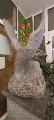 Aguila Real
