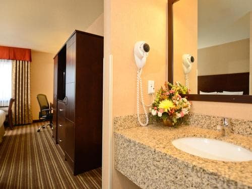 A cozy hotel room features a granite countertop sink adorned with fresh flowers, a mounted hairdryer, and a view into a warmly lit space with striped carpeting, ideal for travelers seeking comfort and convenience.