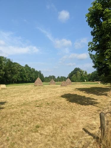 Pension Am Waldrand