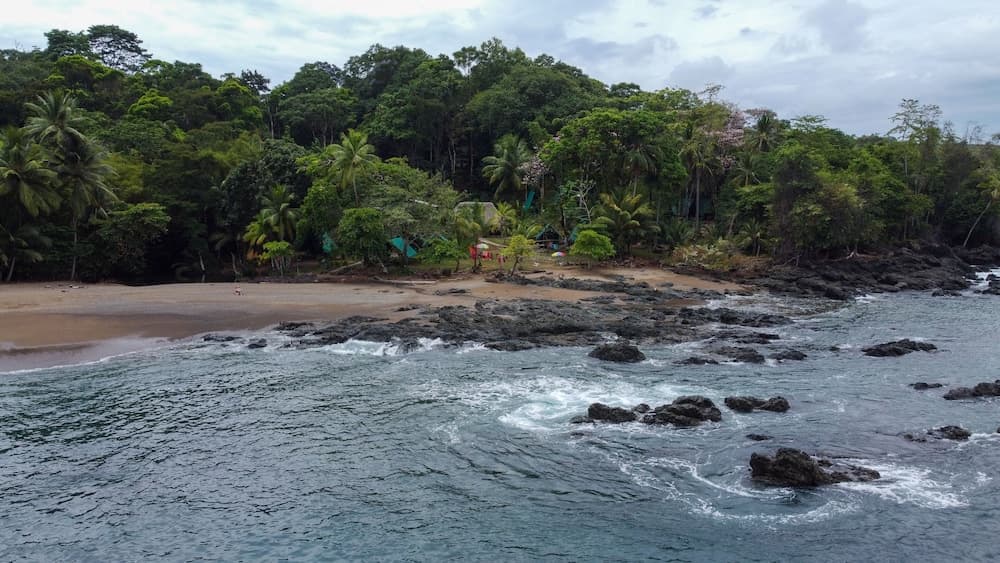 A serene tropical beach with lush greenery, rocky shores, and gentle waves offers an ideal spot for nature lovers seeking tranquility and adventure.