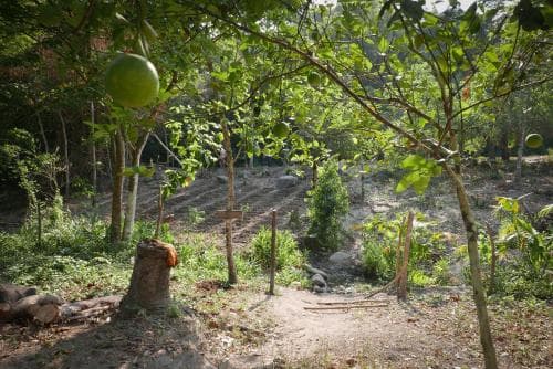 Finca Carpe Diem