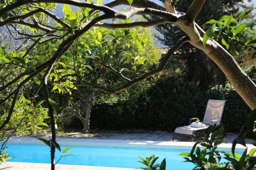 A serene outdoor poolside scene framed by lush greenery and tree branches, featuring a lone lounge chair, ideal for a tranquil vacation retreat.