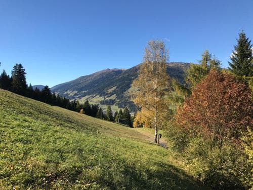 Bauernhof Bleierhof