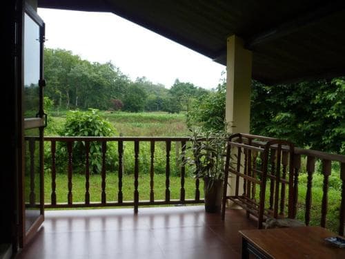 Suancha Tea Garden
