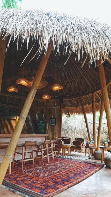 Alpaca Lodge
