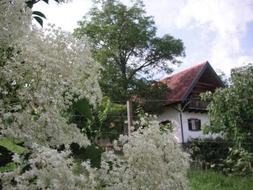 Bauernhof-Grain