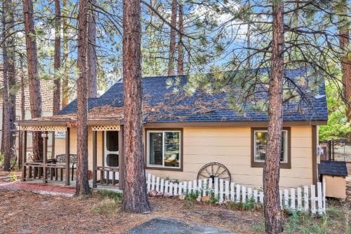 Pines 23 #1438