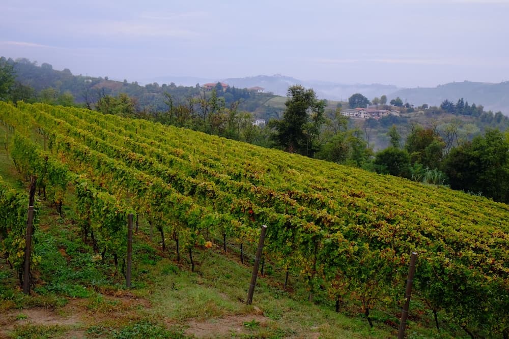 Agriturist Rupestr