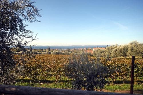 Appartamenti Bellavista