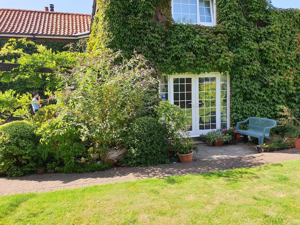 The Summer Room