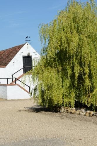 Willow Tree Farm