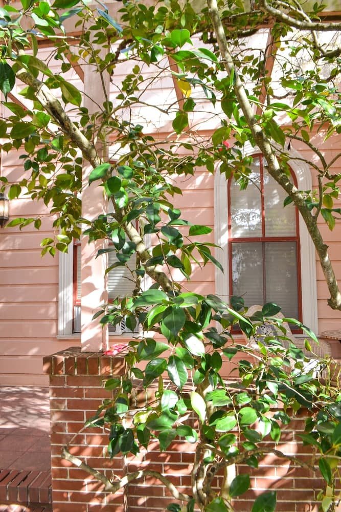 Camellia Inn