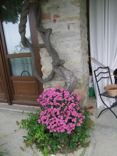 Casa Branzele