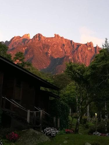 Spring Garden