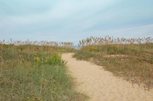 Days Inn Kill Devil Hills Oceanfront - Wilbur
