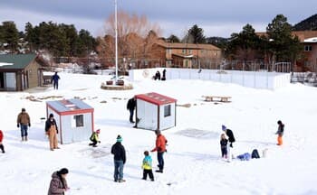 Tiny Town Cabins