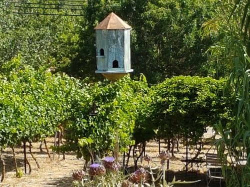 Hemdatya B&B