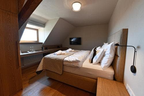 Hotel Lotrinsky
