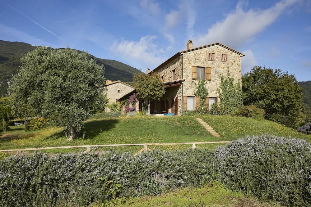 Boschi di Montecalvi