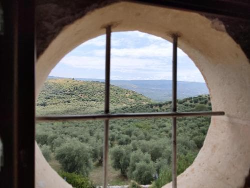 Torre Bruno