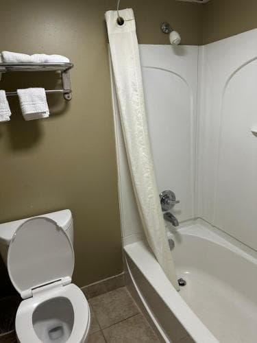 Rodeway Inn Stone Mountain