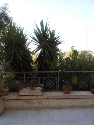 Jerusaelm Villa