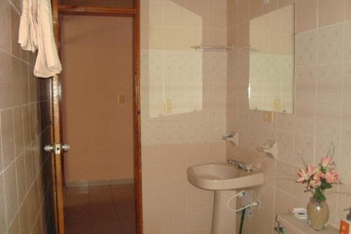 A cozy bathroom with pink tiled walls, a pedestal sink, a mirror, and a vase of flowers creates a warm and inviting atmosphere, ideal for travelers seeking a comfortable accommodation experience.