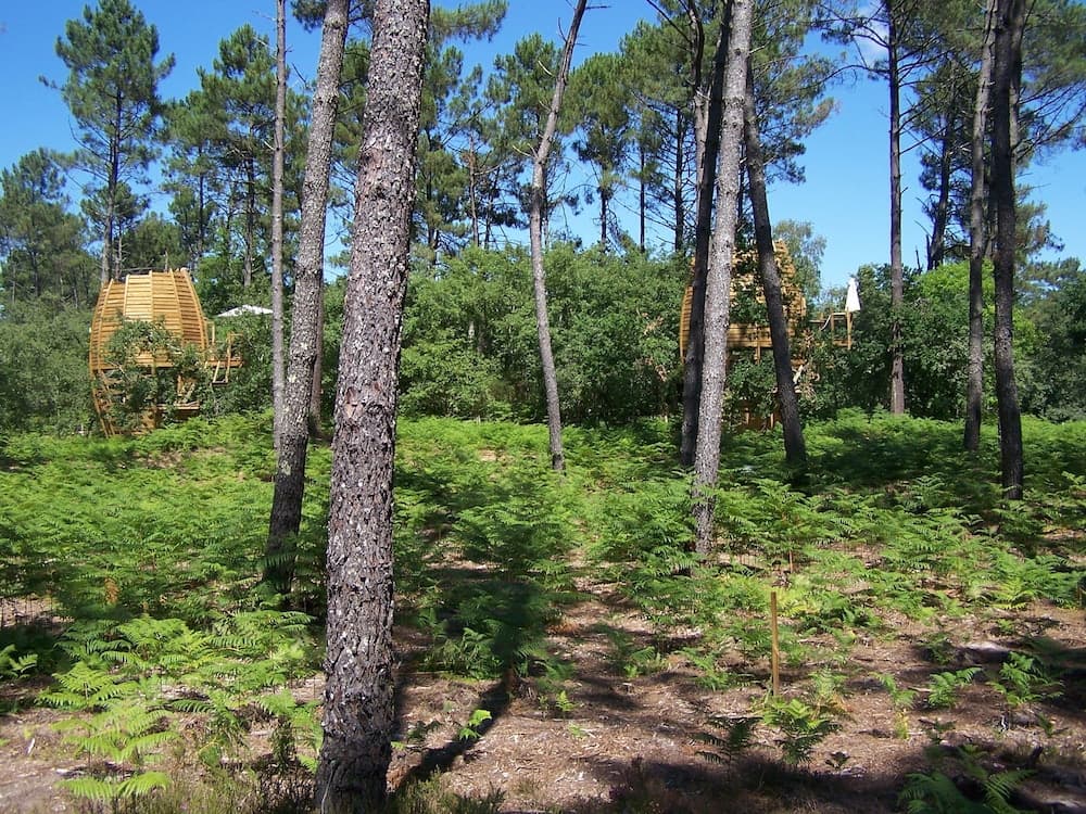 Cap Cabane