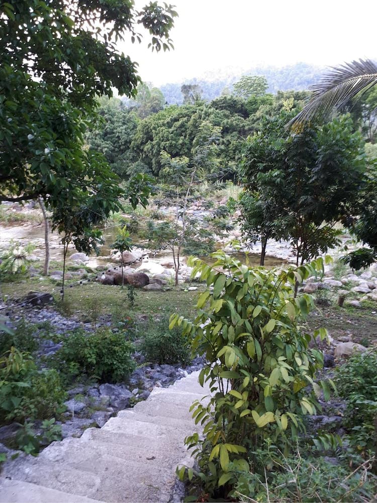 Num Chaykhong