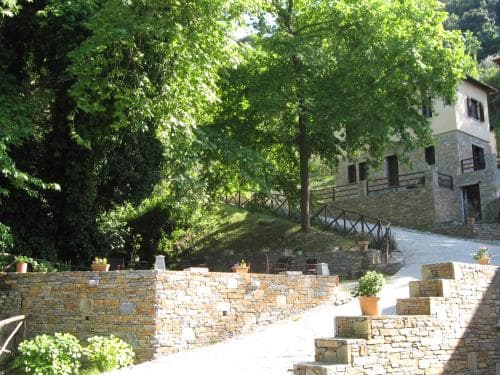 Vergopoulos Olive Yard
