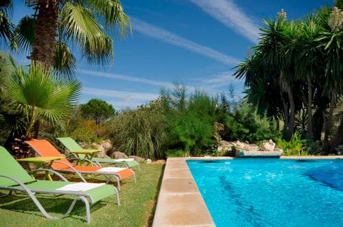 A serene tropical resort scene features a crystal-clear pool surrounded by lush palm trees and vibrant lounge chairs, ideal for relaxing vacations in sunny destinations.