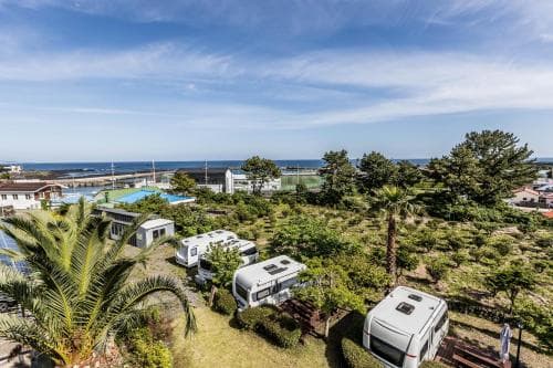 Jeju Pine Beach