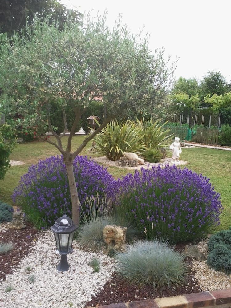 Eglantine Et Chevrefeuille