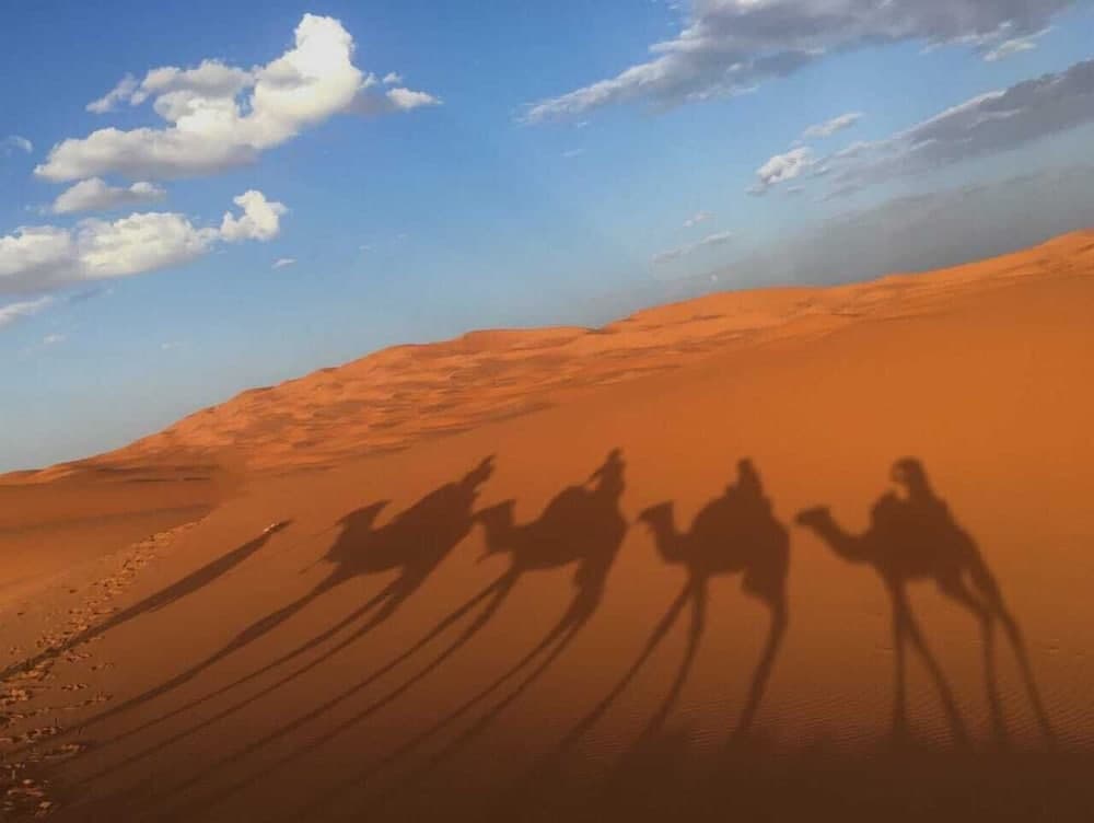 Barak Desert Camp