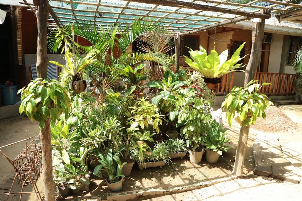 Sannie Pension