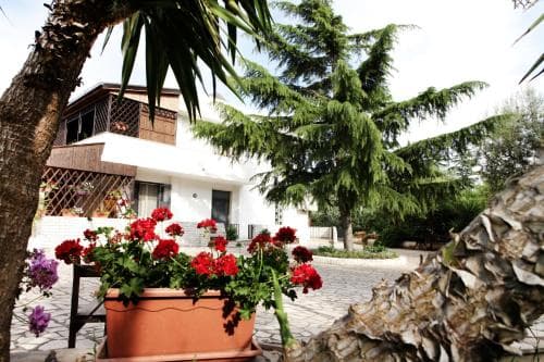 B&B Relax