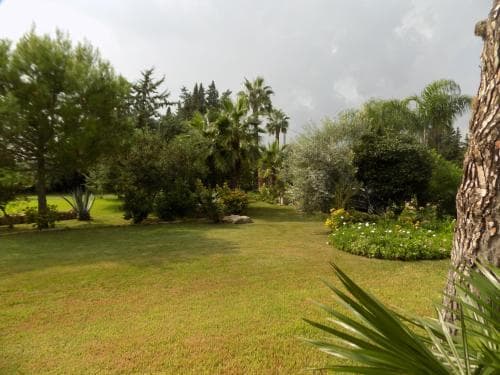 B&B Asparano