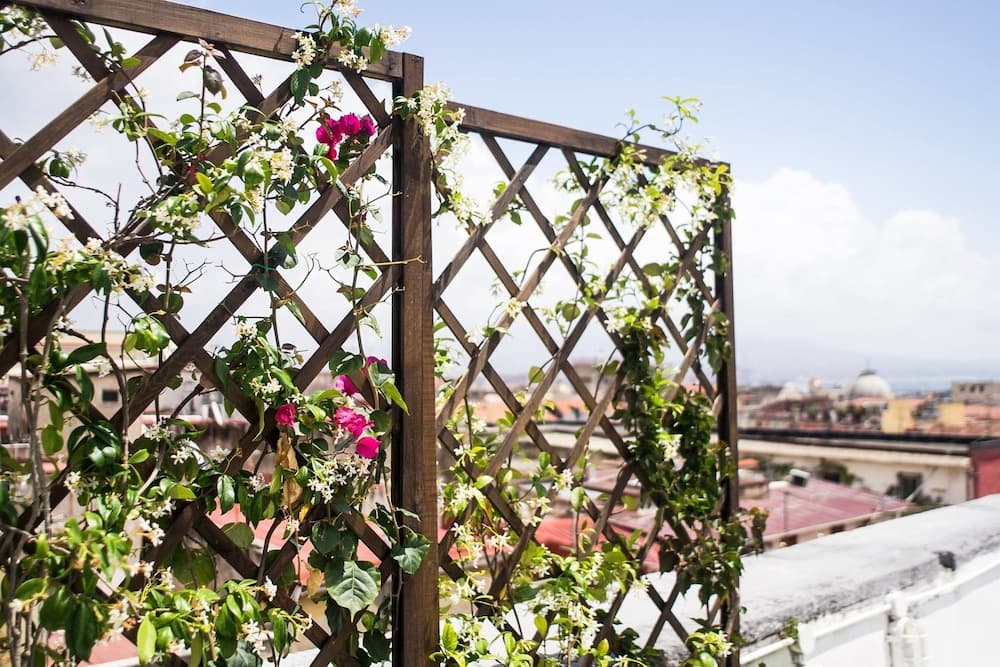 A serene rooftop garden with vibrant flowers climbing wooden trellises overlooks a charming cityscape, perfect for travelers seeking a peaceful urban retreat.