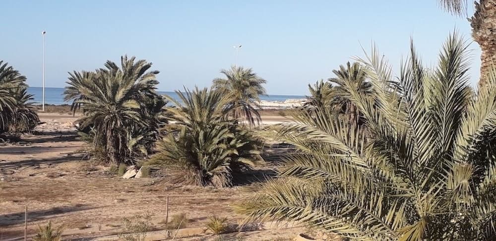 Bella Djerba