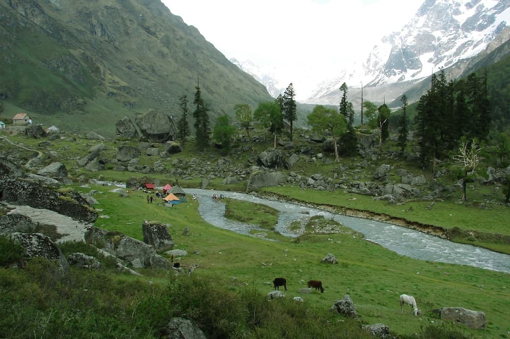 Hotel Himalayan