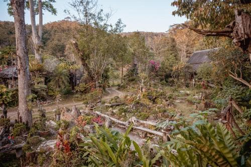 Tharnthong Lodges
